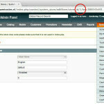 Get Magento Store ID